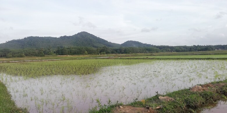 Hotel Bang Tidlay Koh Yao Noi