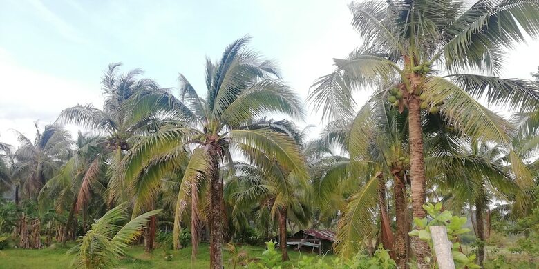 Hotel Bang Tidlay Koh Yao Noi