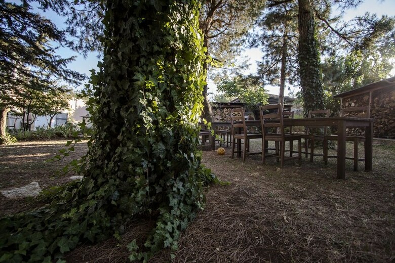 Agroturismo Masseria Citulo - Il Pino Grande