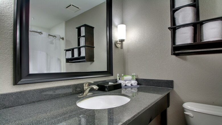 Hotel Holiday Inn Express & Suites Jackson Downtown - Coliseum