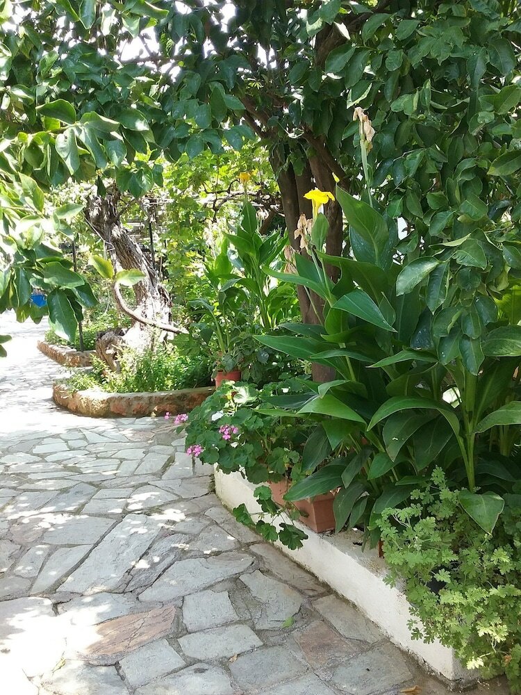 Hotel Rodia