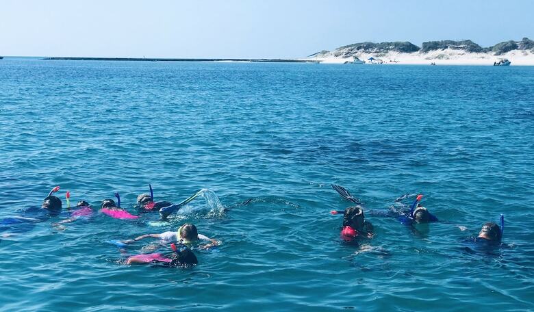 Eden Bay Eco Lodge
