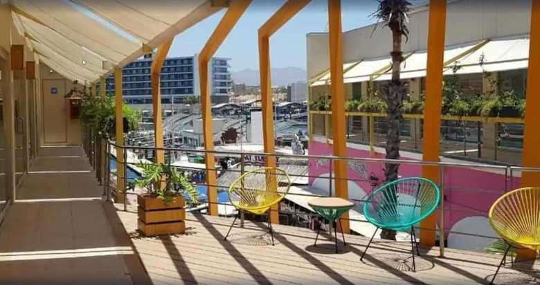 Hostal Mayan Monkey Los Cabos - Hostel - Adults Only