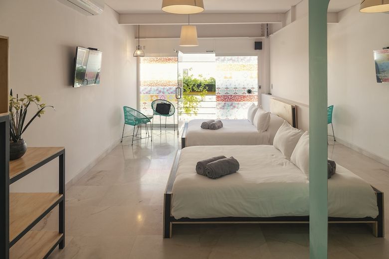 Hostal Mayan Monkey Los Cabos - Hostel - Adults Only