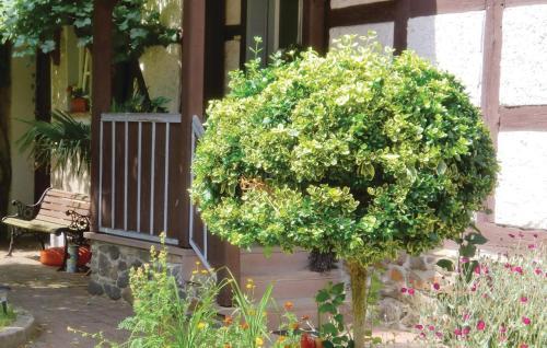 Holiday Home Harzgerode Cd-1751