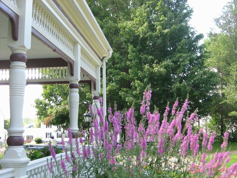 Bed & Breakfast Angel Of The Berwicks
