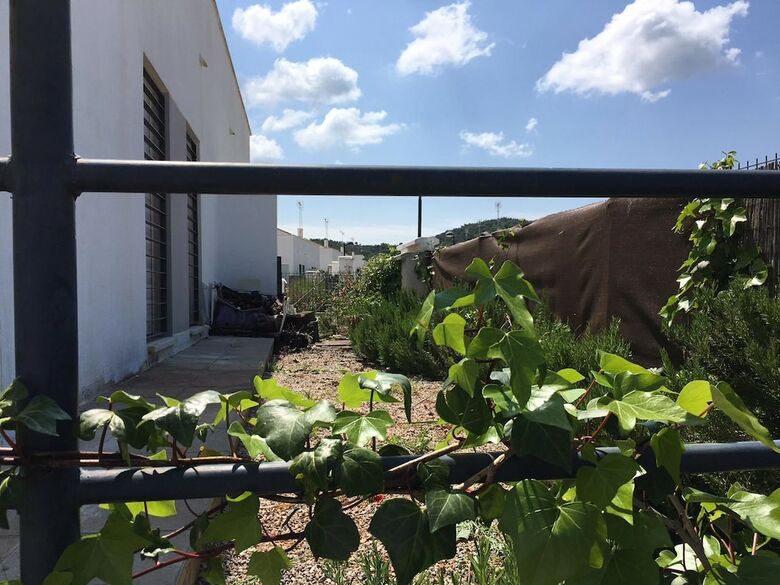 Agroturismo Nacimiento Del Hu�znar - Tomillo 17