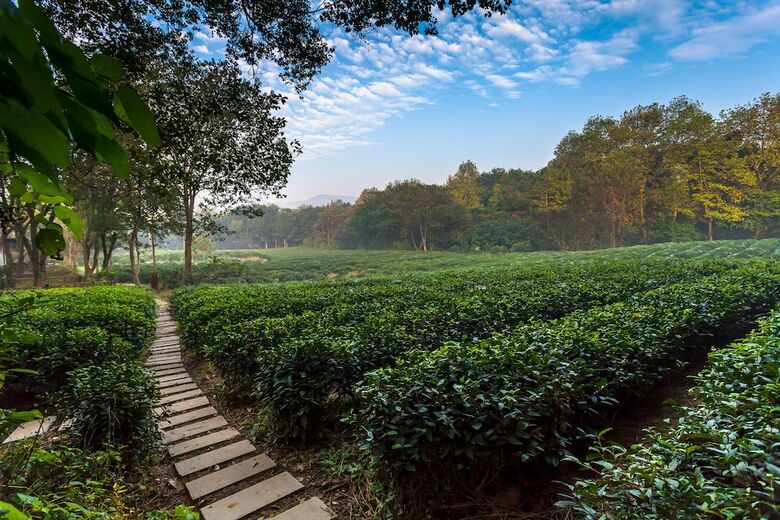Hotel Hangzhou Shusheng Resort