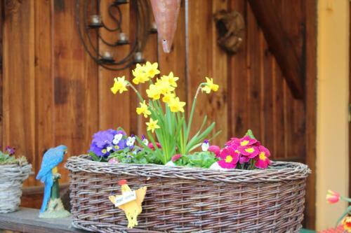 Apartamento Walnu�hof