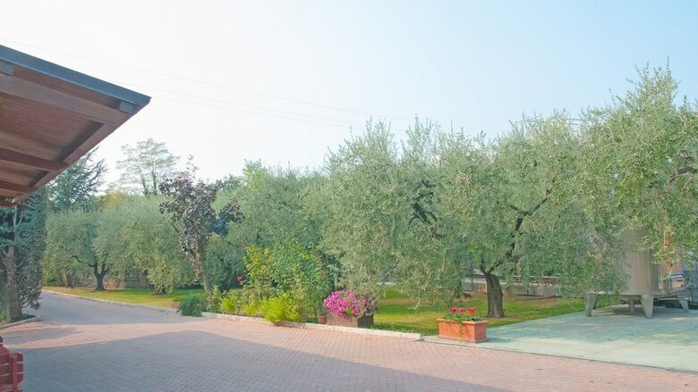 Agroturismo Agriturismo Monte Oliveto