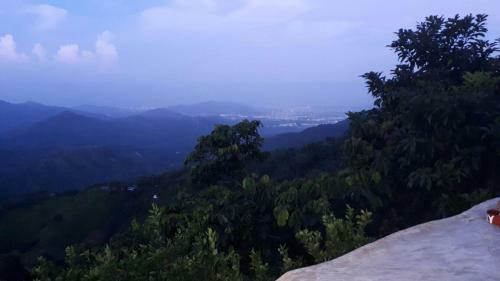 La Candelaria Coffee Farm B&B
