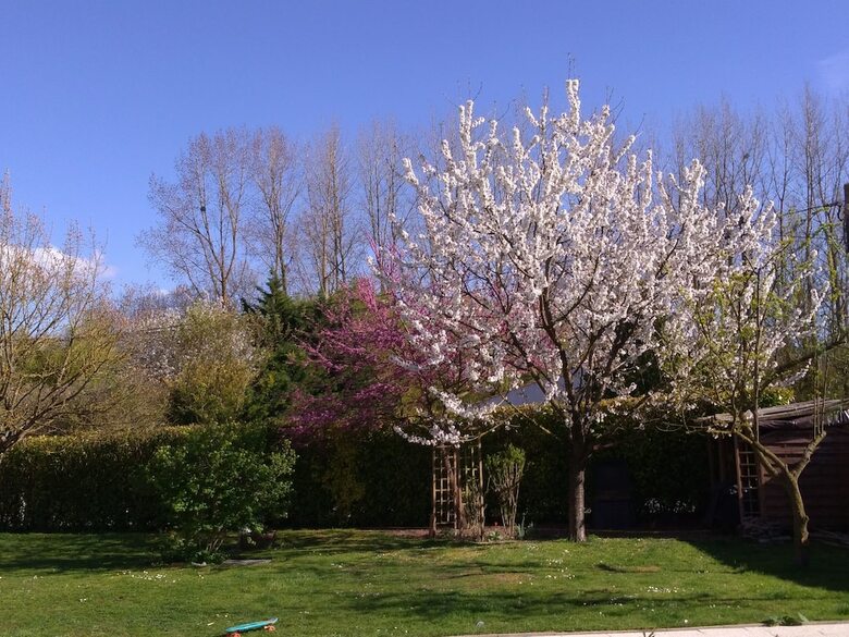 Bed & Breakfast Maison D'h�tes Le Cadran Solaire