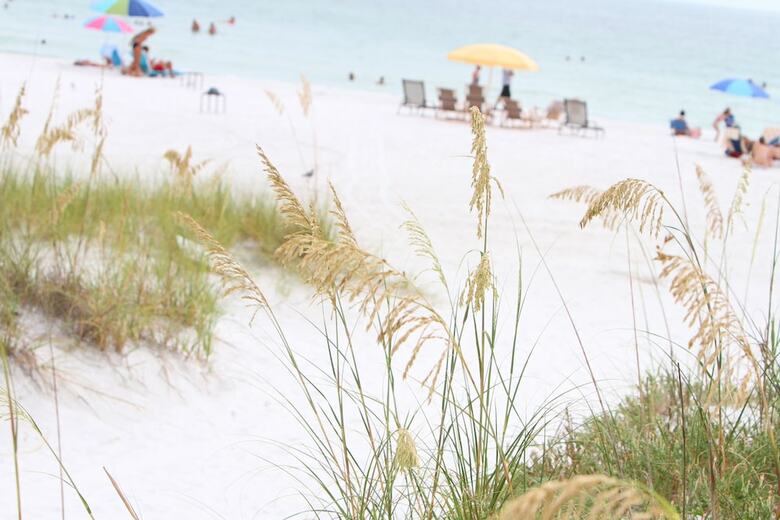 Beach Club At Siesta Key By Rva
