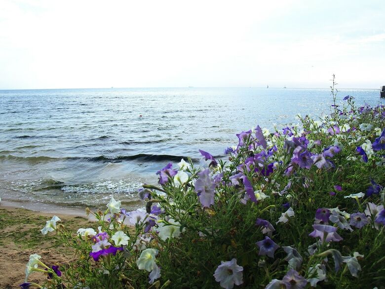 Hotel Grand Otrada