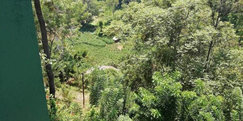 Hotel Ella Viyanga Homestay