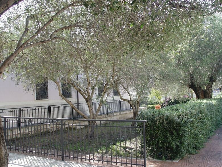 Guesthouse Il Ritrovo Di Parmenide