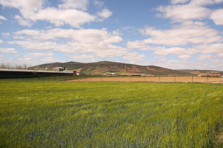 Agroturismo Casa Rural El Patas
