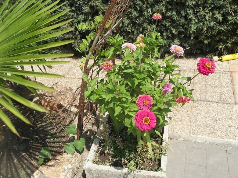 Agroturismo Casa Rural El Patas