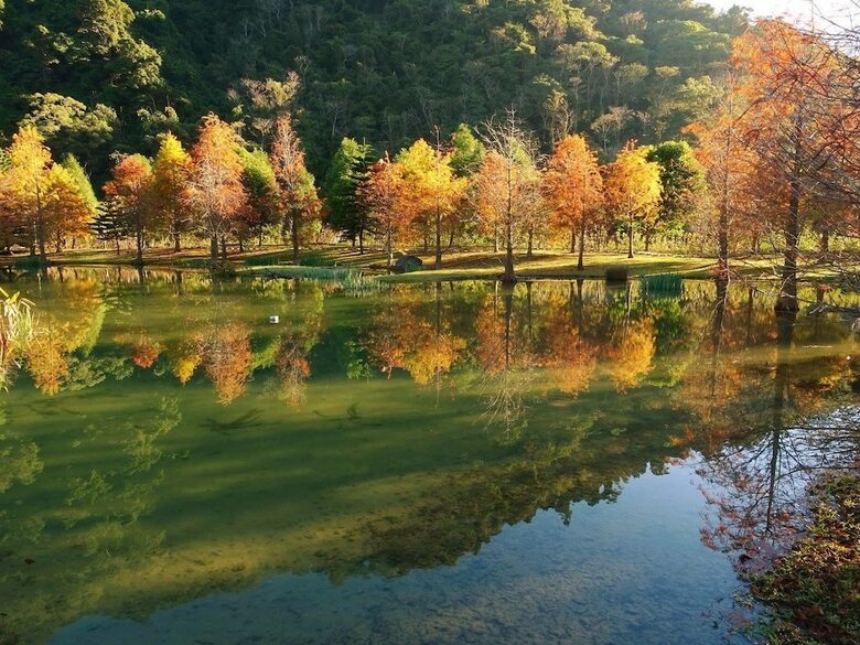 Bed & Breakfast Cloudland Resort