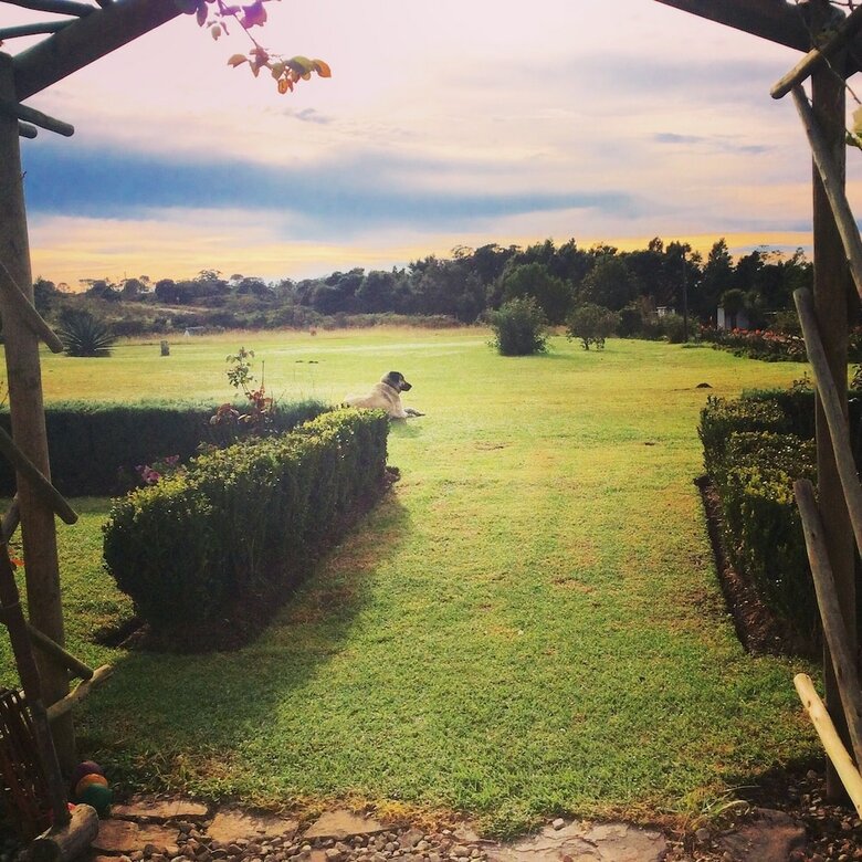 Hotel Kingston Farm