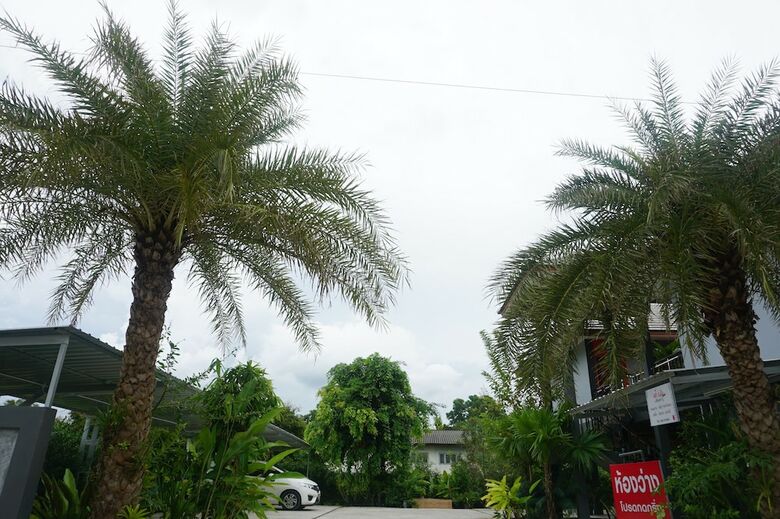Thai House Hotel & Resort Hat Yai