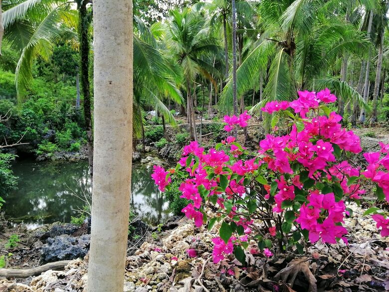 Hotel Andnindot Garden Resort