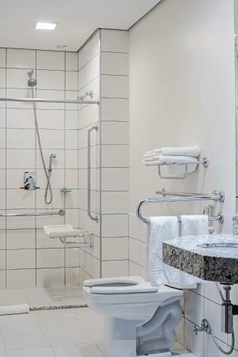 Hotel Holiday Inn Express Porto Velho