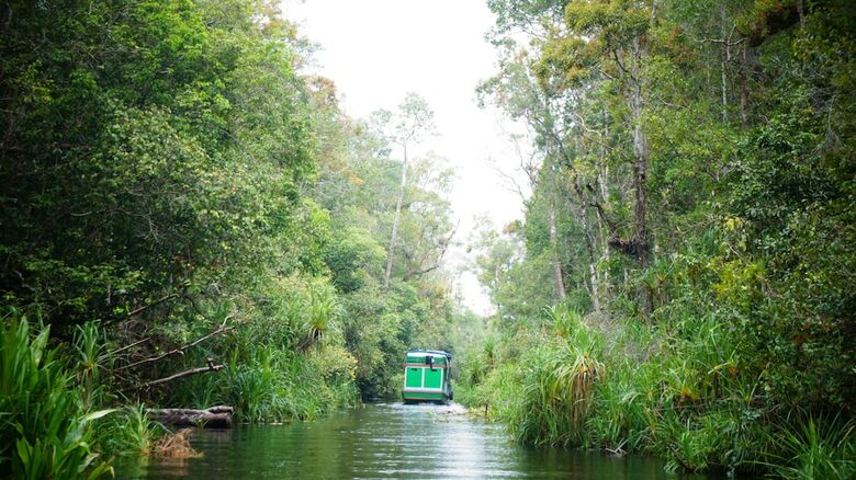 Houseboat Bee Kelotok