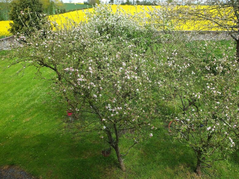 Bed & Breakfast La Bucaille
