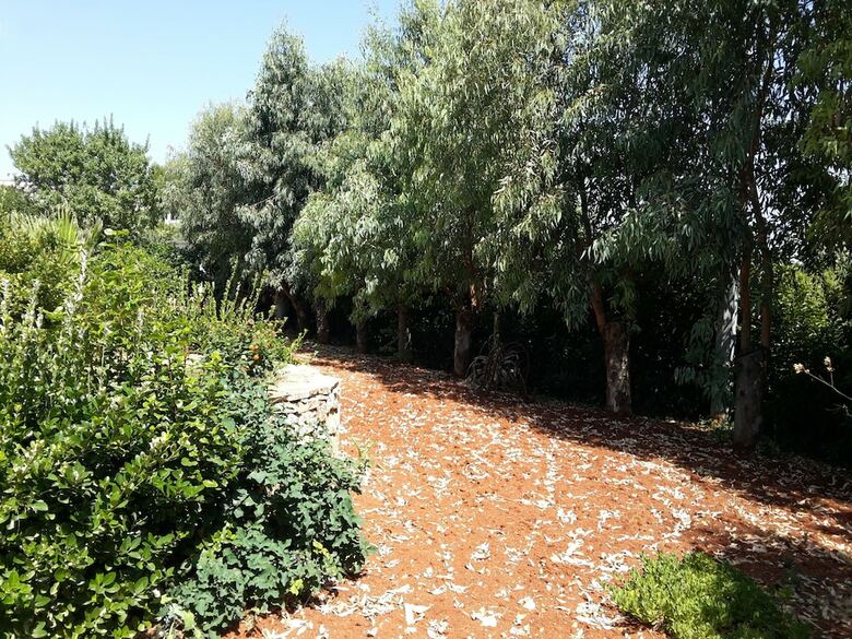 Apartamento Casal Del Borgo