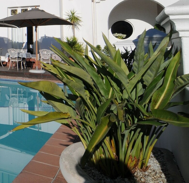 Hotel Abbey Manor Luxury Guesthouse