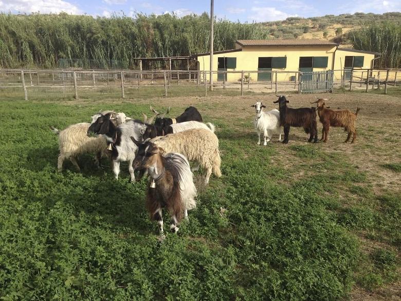 Agroturismo Tenuta Bartoli Maison de Charme
