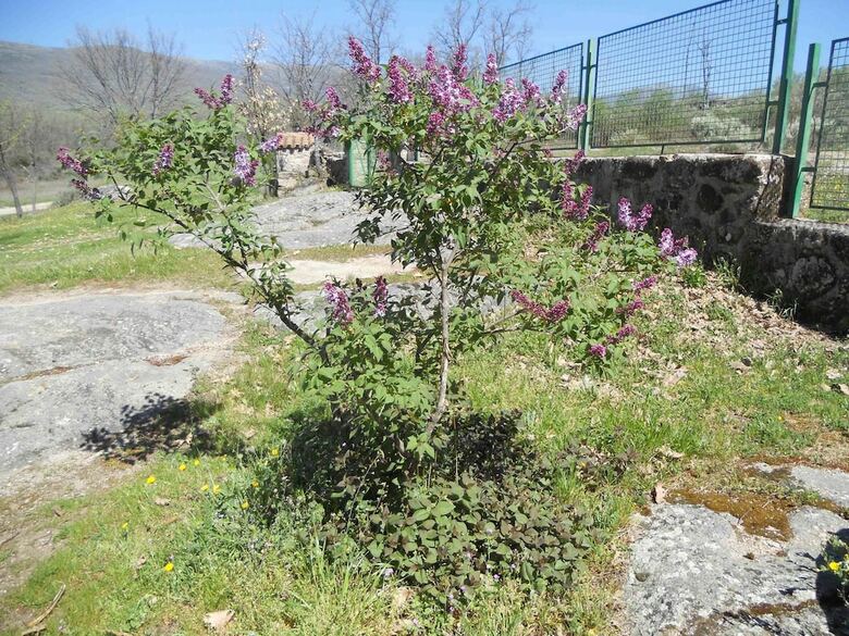Agroturismo Casa Rural Colmenarejo