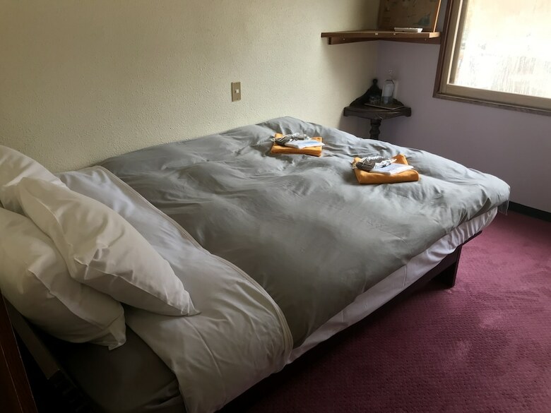 Hotel Alp Lodge