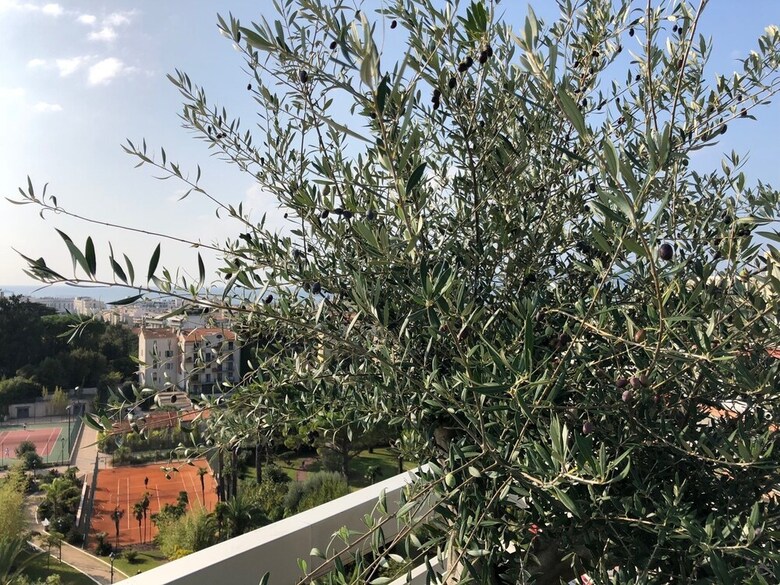 Apartamento Suites In Cannes Center Sea View
