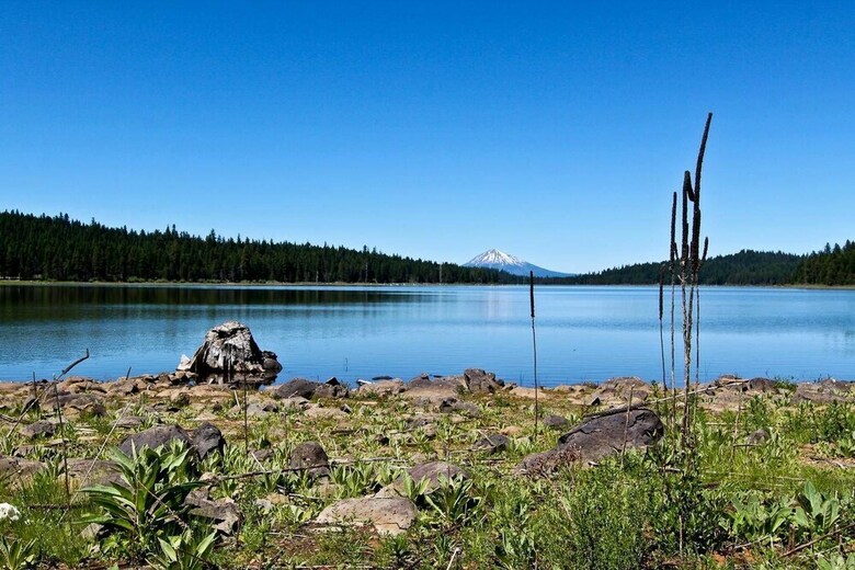 #45 The Cabins At Hyatt Lake-sleeps 4