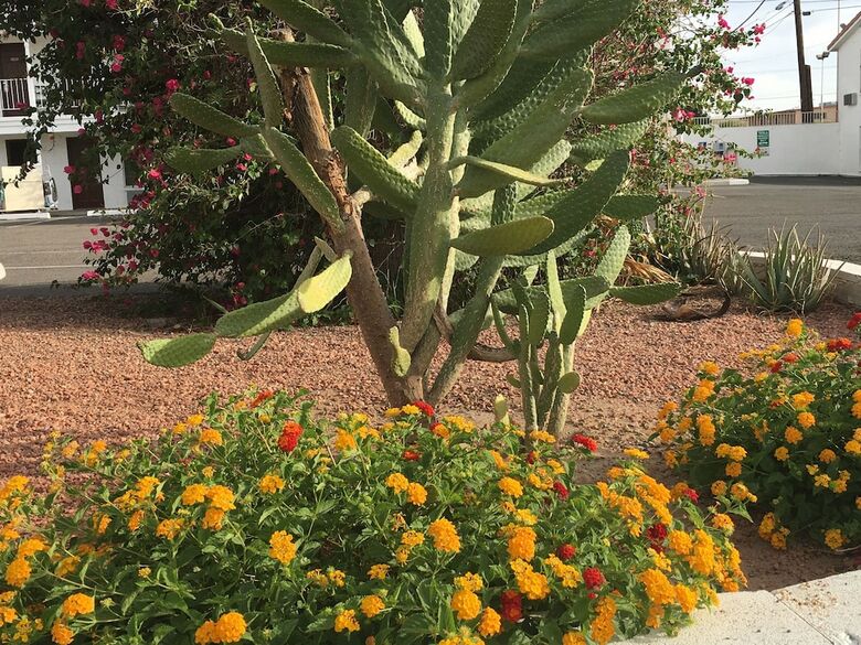 Historic Coronado Motor Hotel