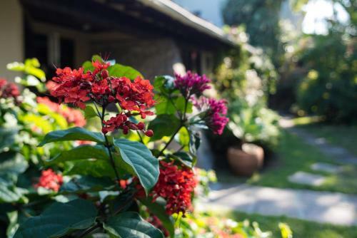 Posada Villa Balthazar Bed & Breakfast