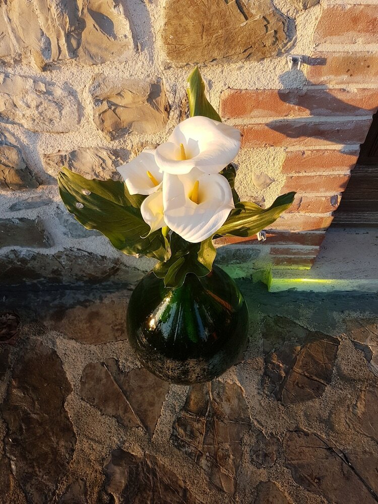 Agroturismo Agriturismo La Marianella