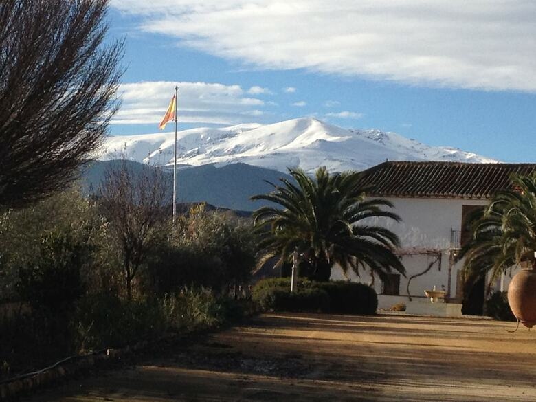 Agroturismo Almazara De Paulenca