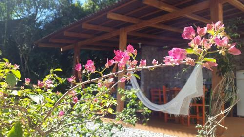 Joinville Hostel & Pousada