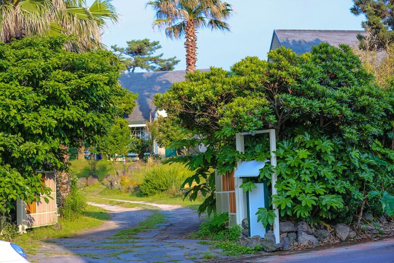 Pension Ddolnaemi House