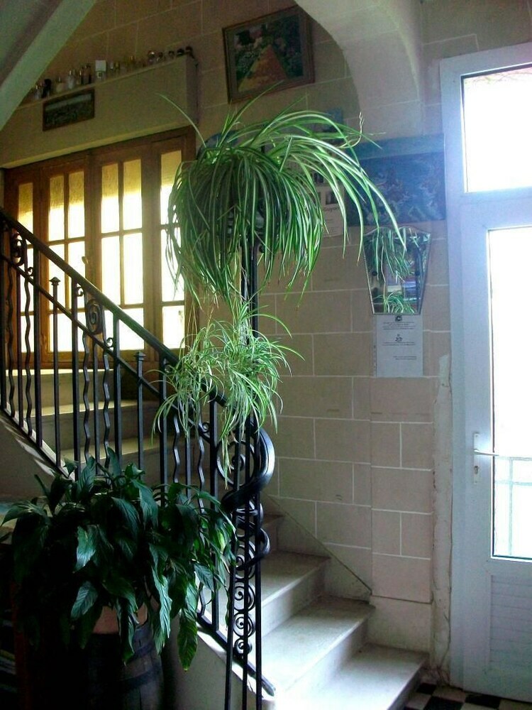 Bed & Breakfast Chambres D'h�tes Les Damiers