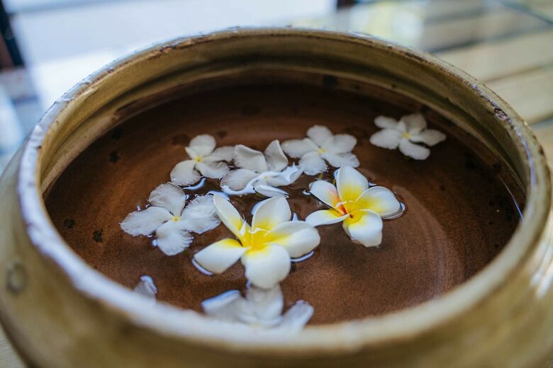 Hotel Hoi An Lotus Aroma Villa