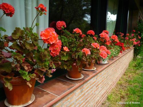 Hostal Casa Rural El Roblon