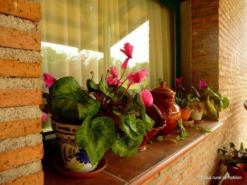 Hostal Casa Rural El Roblon