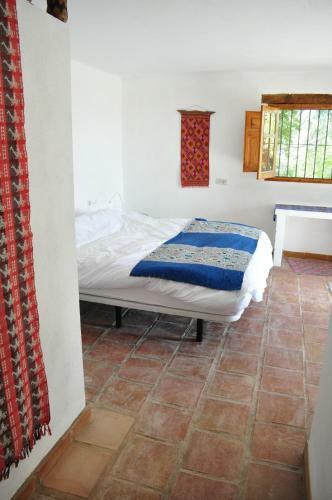 Bed & Breakfast El Diplomatico Feo (the Ugly Diplomat)