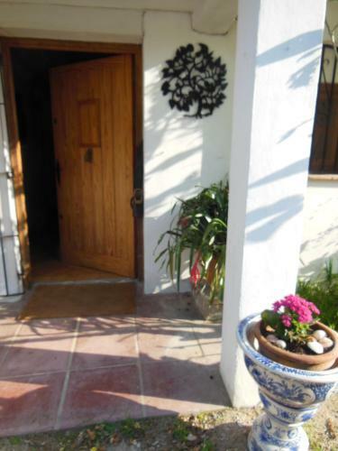 Bed & Breakfast El Diplomatico Feo (the Ugly Diplomat)