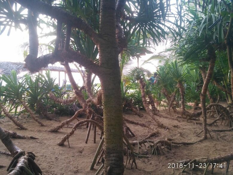 Hotel Ravana Beach Cabanas