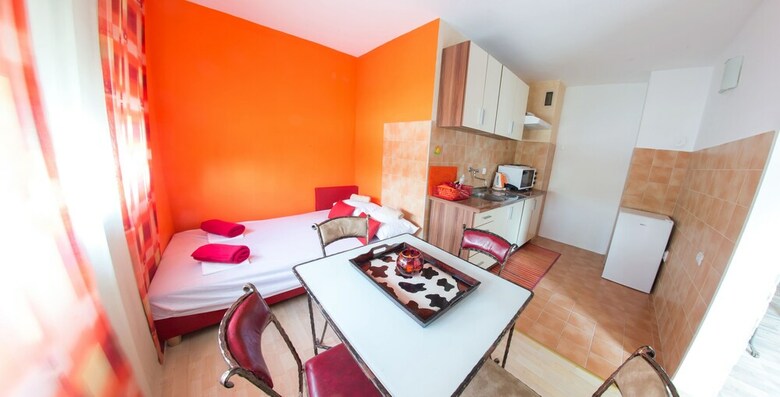 Studio Apartment Zebra